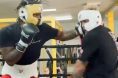 Hasim Rahman Jr., Jake Paul, Boxing, Sparring