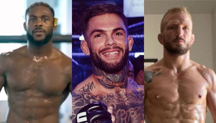 Aljamain Sterling, Cody Garbrandt, TJ Dillashaw, UFC 280, UFC