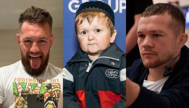 Conor McGregor, Hasbulla, Petr Yan, UFC 280