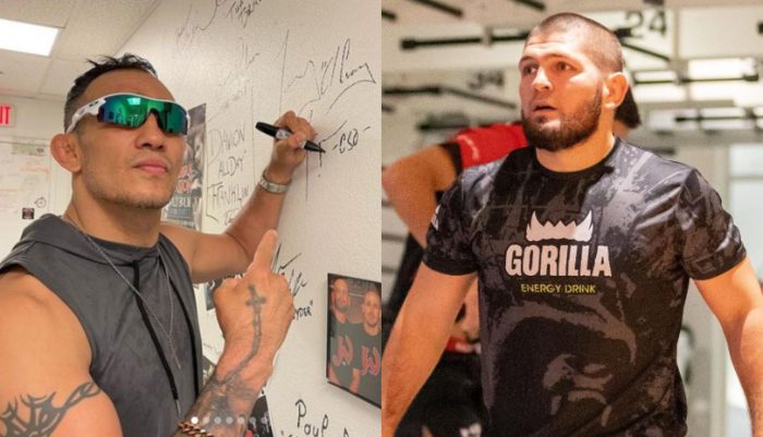 Tony Ferguson, UFC, Khabib Nurmagomedov, MMA