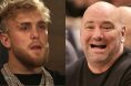 Jake Paul, Dana White, UFC