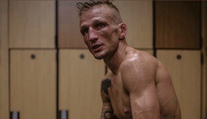 T.J. Dillashaw during his cut to 125 pounds