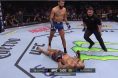 Chris Gutierrez, Frankie Edgar, UFC 281, KO, UFC