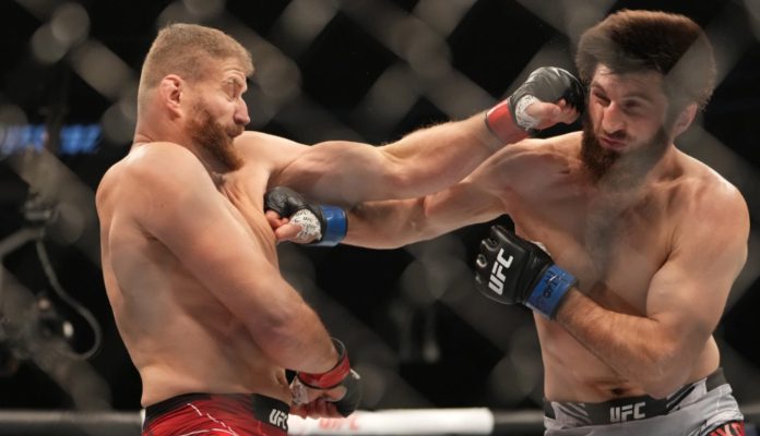 Jan Blachowicz, Magomed Ankalaev UFC 282