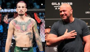 Sean O'Malley, Dana White