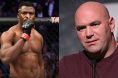 Francis Ngannou, Dana White, UFC, UFC 285