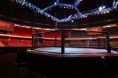 UFC Octagon