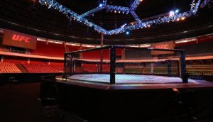 UFC Octagon