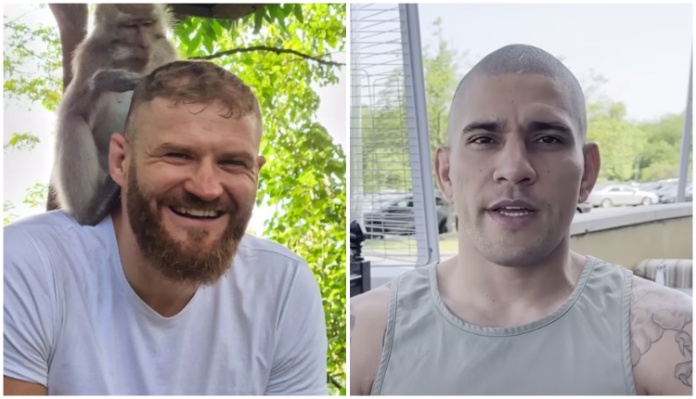 Alex Pereira, Jan Blachowicz, UFC 291, UFC