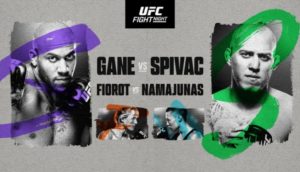 UFC Paris, Gane vs. Spivac, Results