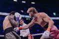Logan Paul, Dillon Danis, Boxing