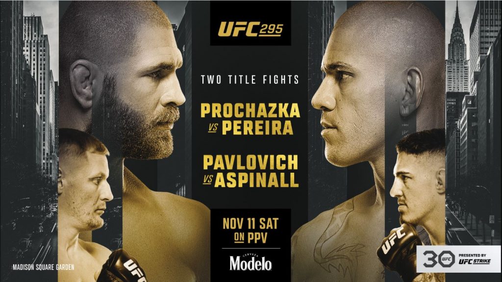 UFC 295, Jiri Prochazka, Alex Pereira, Sergei Pavlovich, Tom Aspinall, Results, UFC