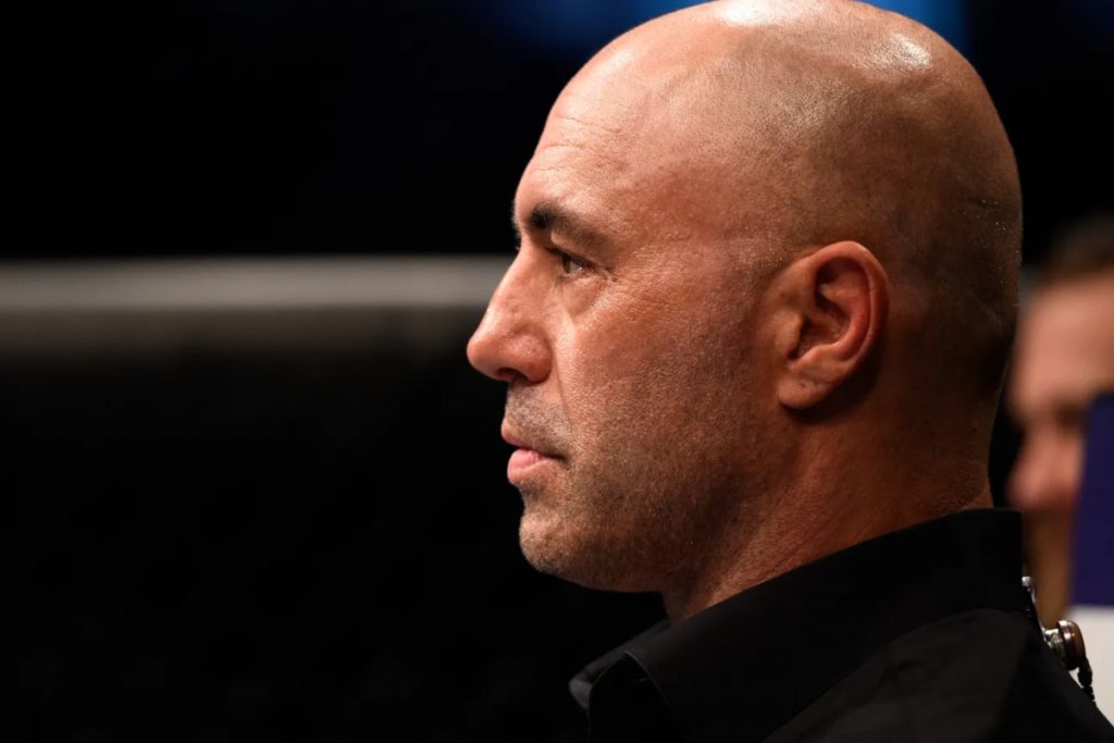 Joe Rogan UFC