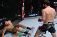 Magomed Ankalaev, UFC Vegas 84, Results, UFC, Johnny Walker