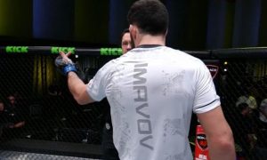 Nassourdine Imavov, UFC Vegas 85, Results, UFC, Pros react