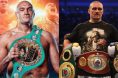Tyson Fury, Oleksandr Usyk, Boxing, Pullout Clause