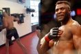 Alex Pereira, Francis Ngannou