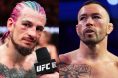 Sean O'Malley, Colby Covington