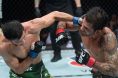 Steve Erceg lands punch on Alexandre Pantoja UFC 301