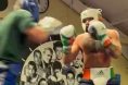 Conor McGregor sparring