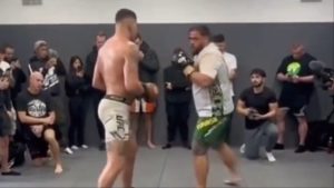 Alex Pereira and Tai Tuivasa