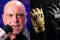 Joe Rogan, UFC gloves