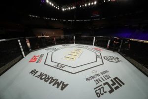 Empty UFC Octagon