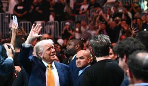 Donald Trump, UFC 316, Elon Musk, MMA