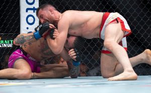 Merab Dvalishvili, UFC 316, Pros react, Sean O'Malley, UFC