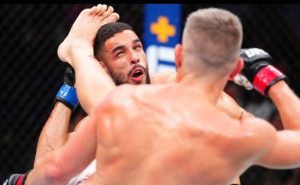 Gabriel Bonfim, Stephen Thompson, UFC Nashville, Pros react, UFC