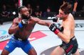 Aljamain Sterling punches Brian Ortega at UFC Shanghai