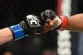 UFC glove touch