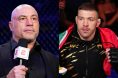 Joe Rogan and Dricus du Plessis