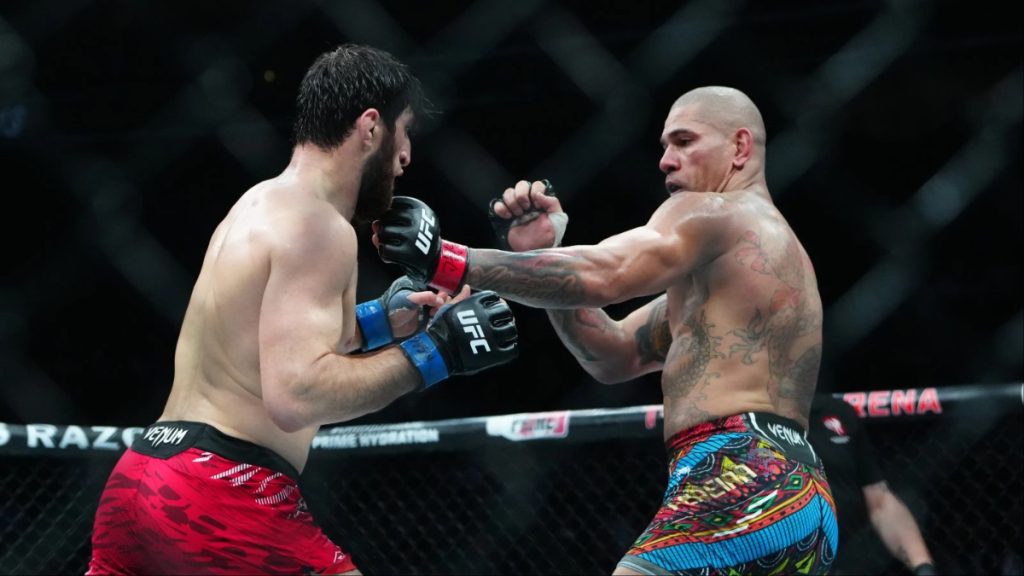 Magomed Ankalaev, Alex Pereira