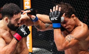 Nassourdine Imavov, UFC Paris, Results, Caio Borralho, UFC