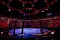 UFC Fight Night Octagon