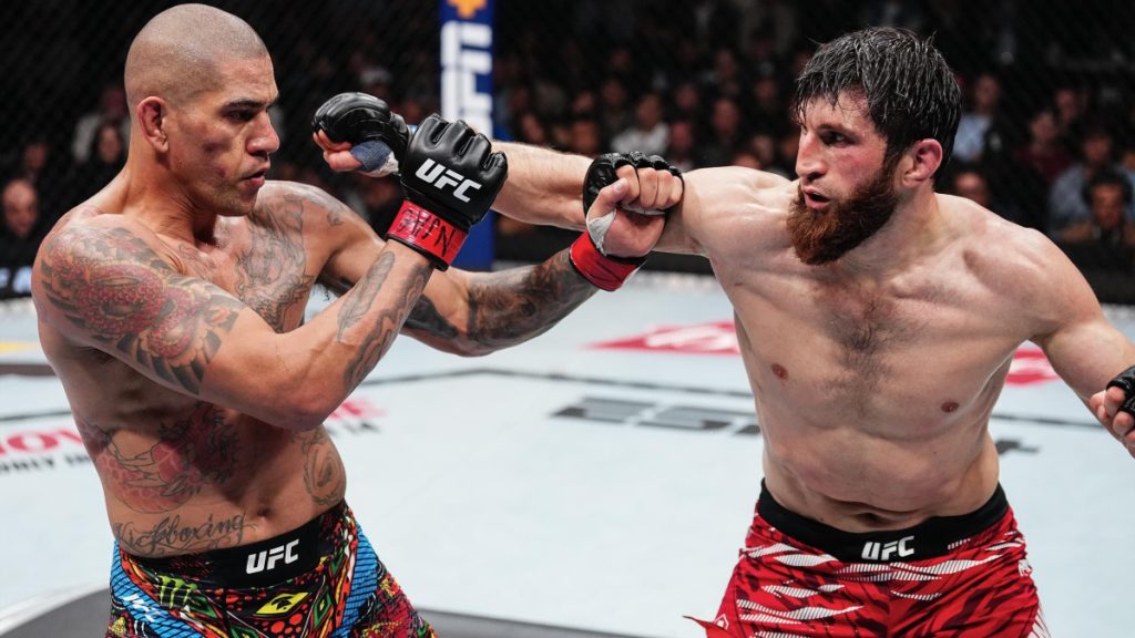 Magomed Ankalaev throws strike at Alex Pereira