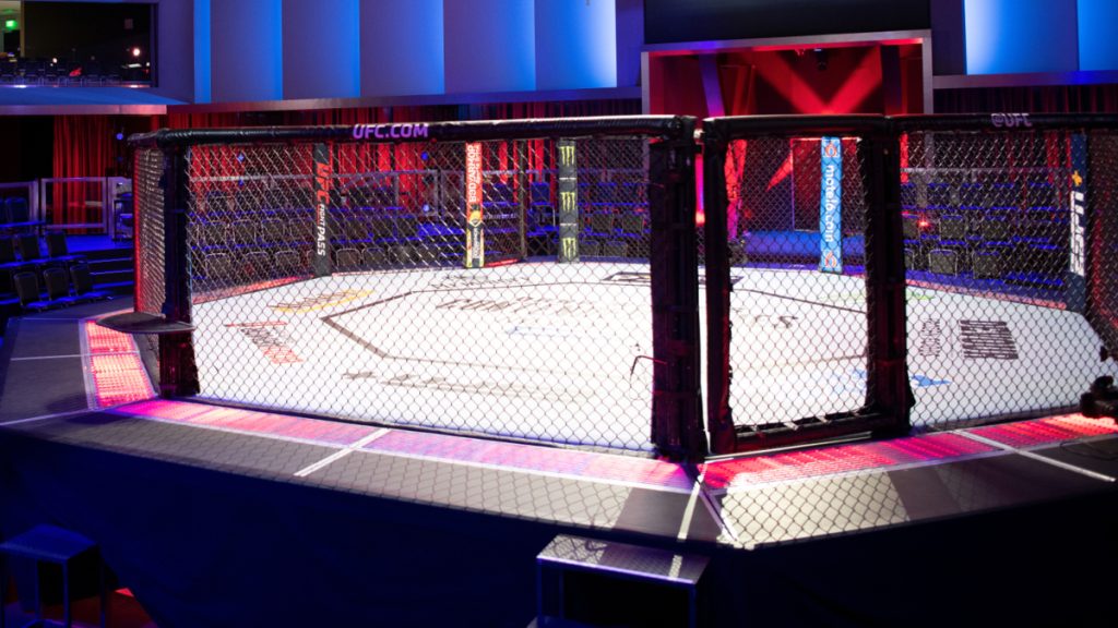 UFC Apex Octagon