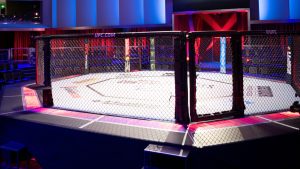 UFC Apex Octagon