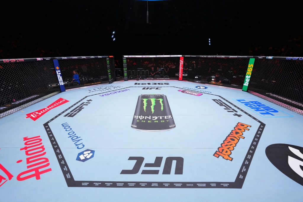 UFC Empty Octagon