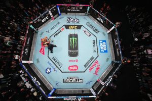 UFC Octagon view