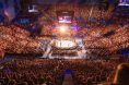 UFC live arena