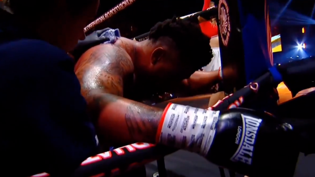 Greg Hardy, UFC, NFL