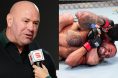 Dana White speaks with Laura Sanko after a Dana White's Contender Series episode, opposite Yadier del Valle submitting Isaac Dulgarian