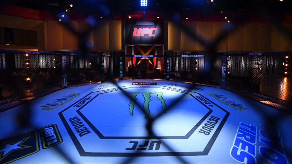 UFC Octagon Empty