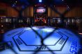 UFC Octagon Empty