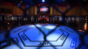 UFC Octagon Empty