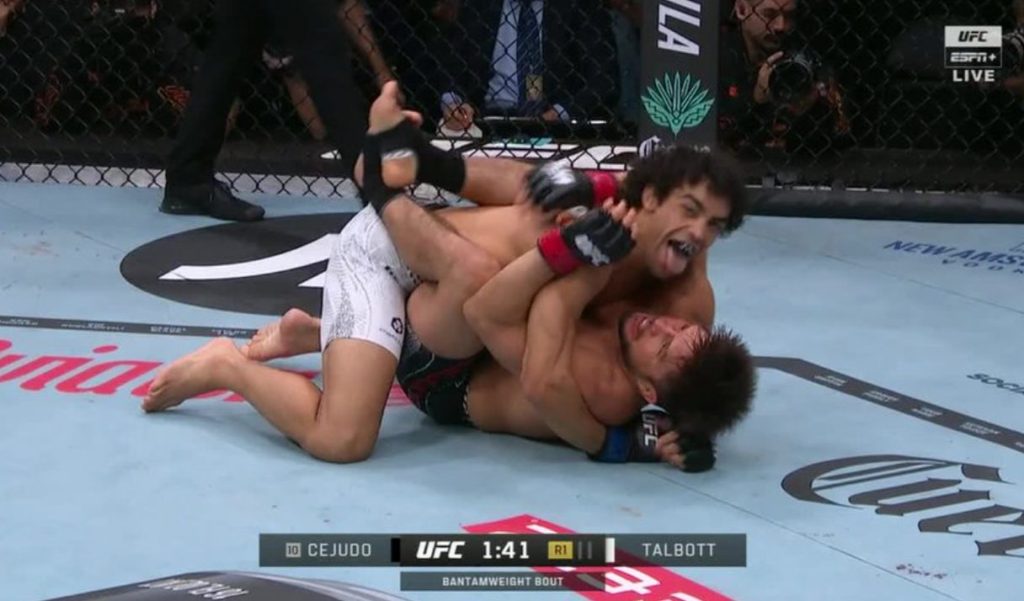 Payton Talbott, Henry Cejudo, UFC 323, Results, UFC