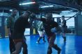 Conor McGregor, UFC White House