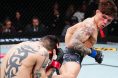 Lone'er Kavanagh, UFC Mexico City, Brandon Moreno, Results, UFC